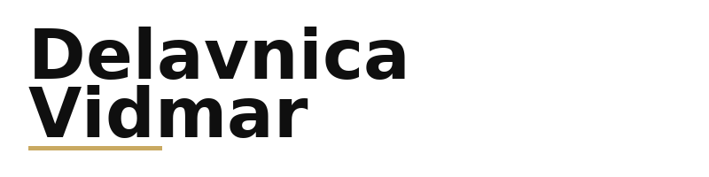 Delavnica Vidmar logo